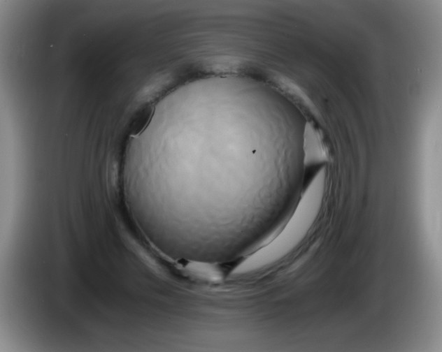 X0000084010589200703091929