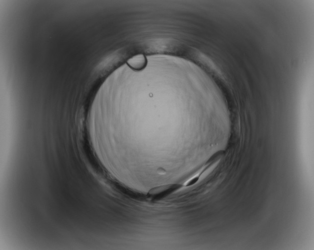 X0000084010590200703091929