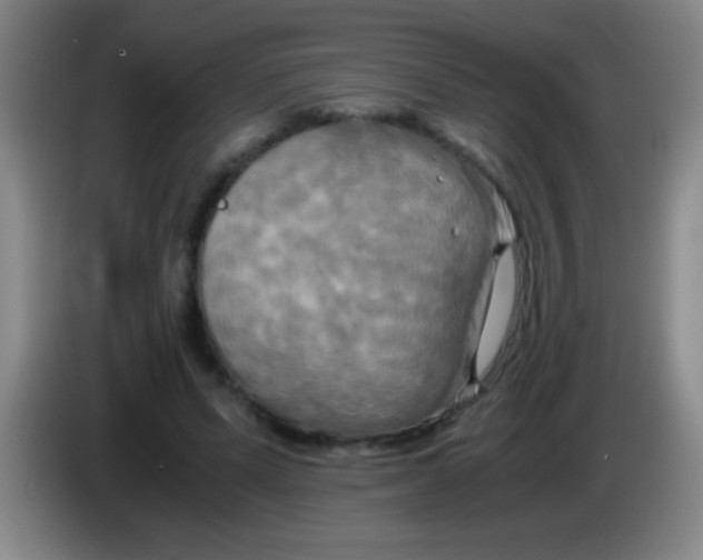 X0000084010591200703091929