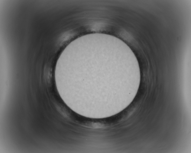 X0000084010592200703091929