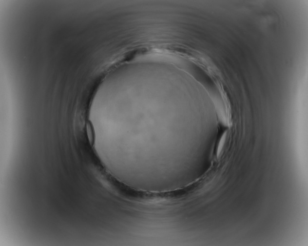 X0000084010593200703091929