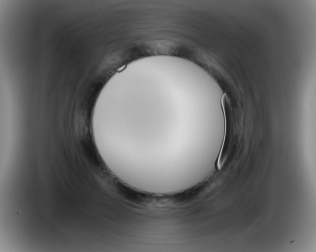 X0000084010599200703091928