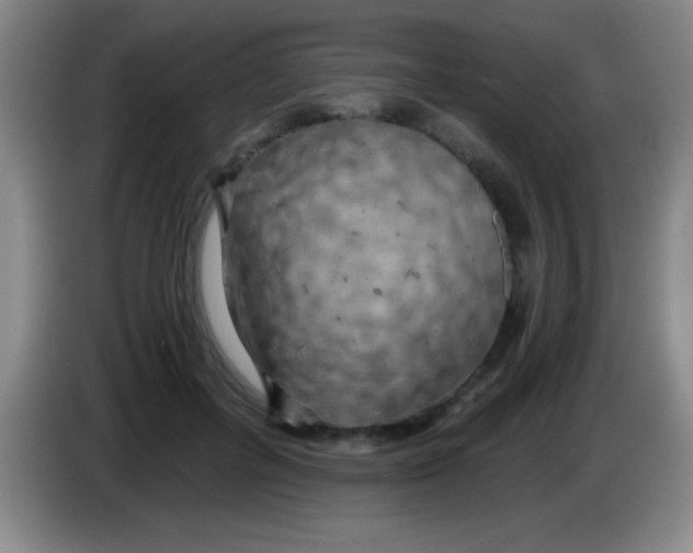 X0000084010600200703091928