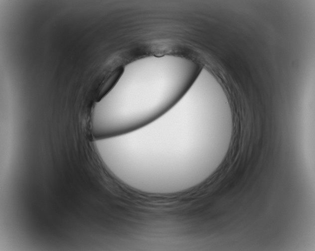 X0000084010601200703091928