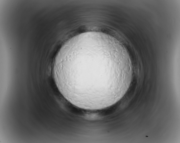 X0000084010602200703091928