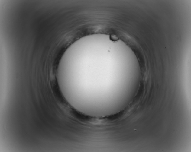 X0000084010607200703091928