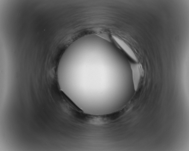 X0000084010611200703091928