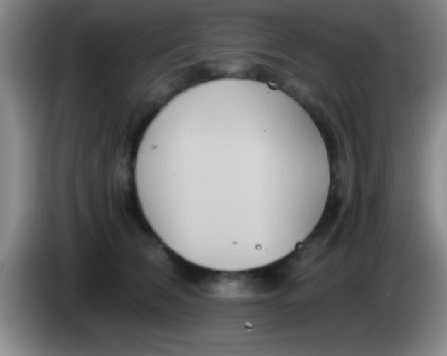 X0000084010612200703091928