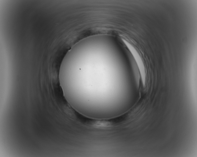 X0000084010617200703091928