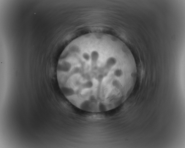 X0000084010619200703091928