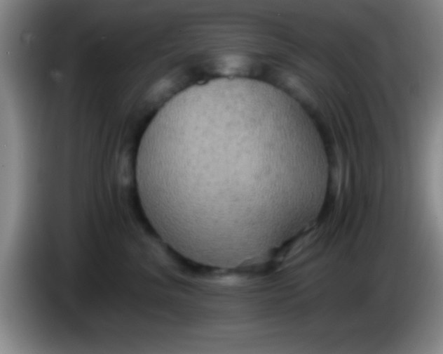 X0000084010620200703091928