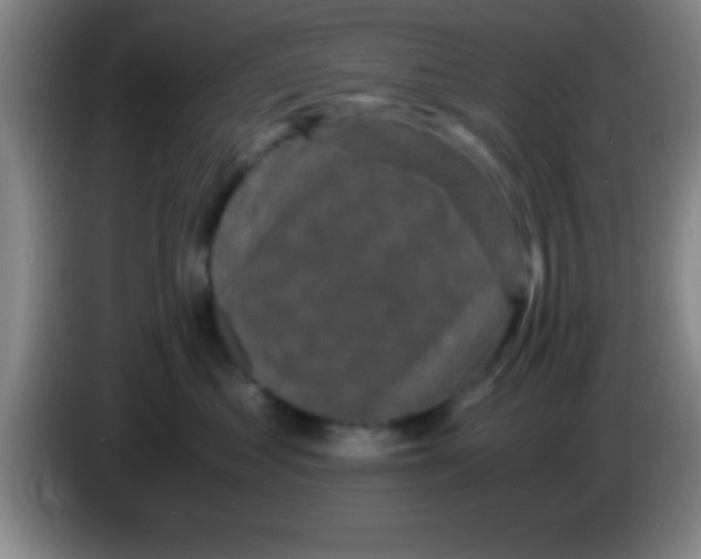 X0000084010621200703091928