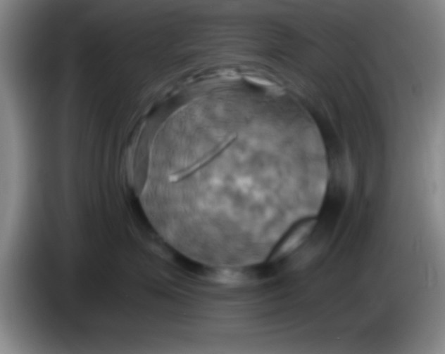 X0000084010623200703091928