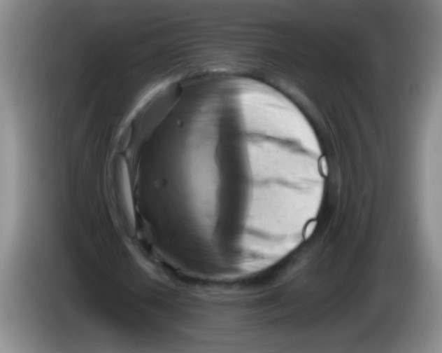 X0000084010626200703091928