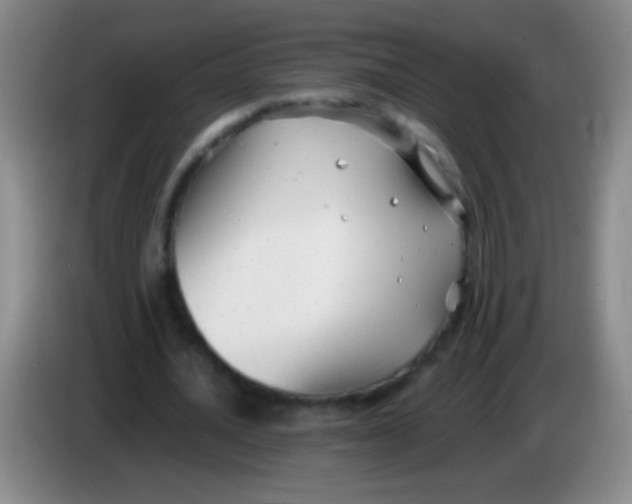 X0000084010628200703091928