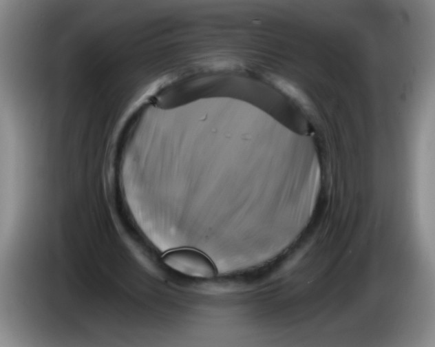 X0000084010630200703091928