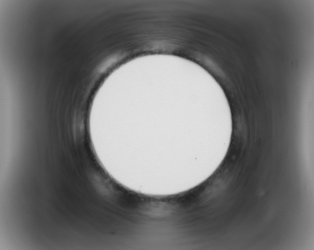 X0000084010632200703091928