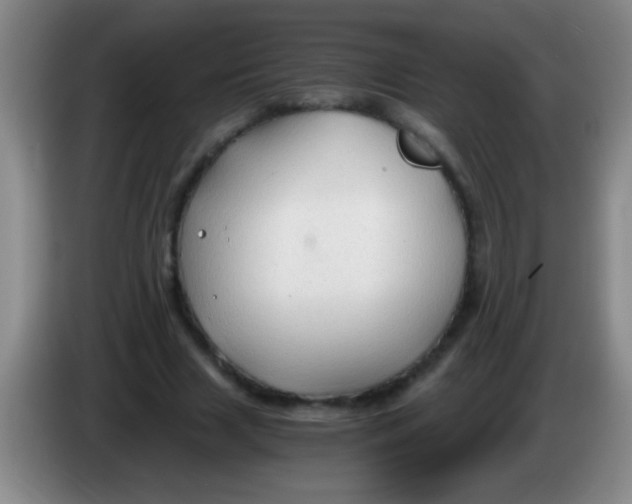 X0000084010633200703091928