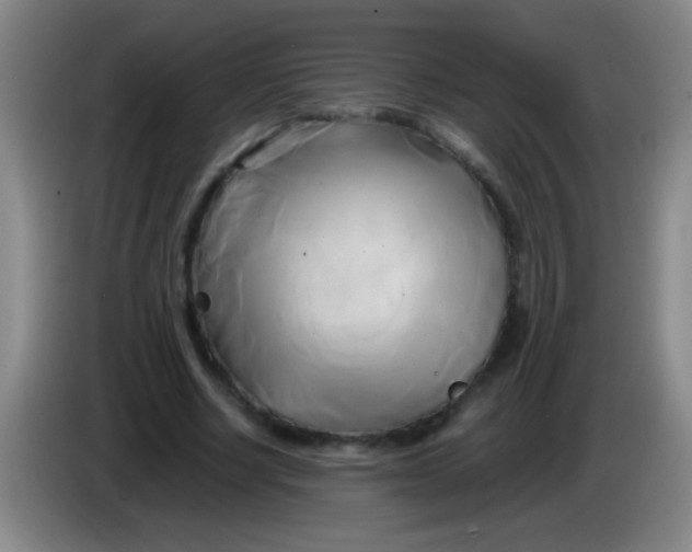 X0000084010634200703091928