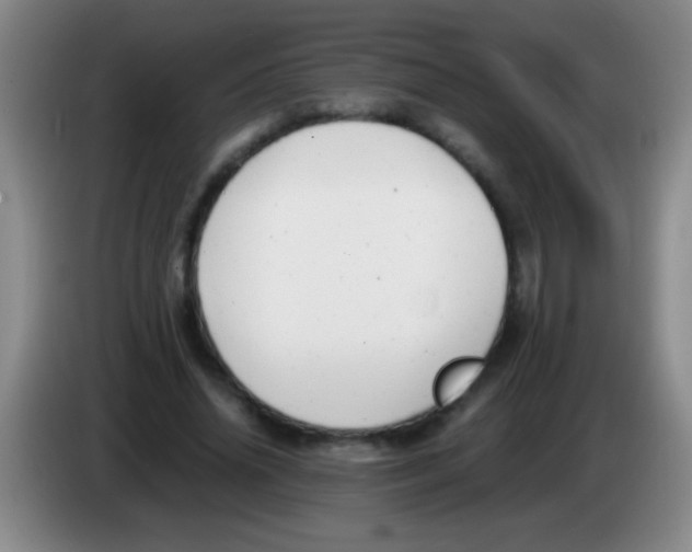 X0000084010636200703091928