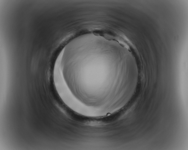 X0000084010637200703091928