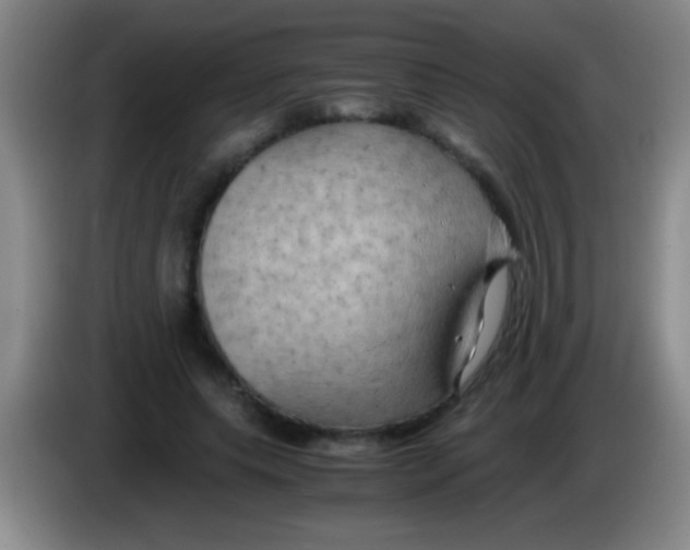 X0000084010639200703091928