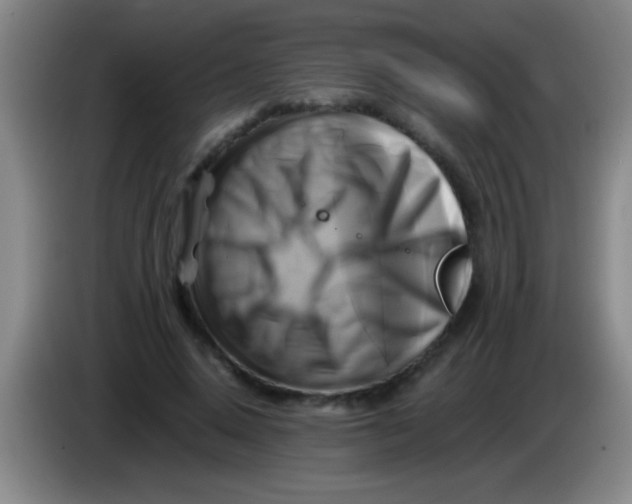 X0000084010640200703091928