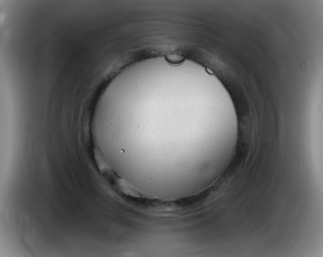 X0000084010642200703091928