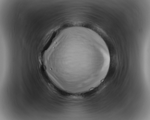 X0000084010644200703091928