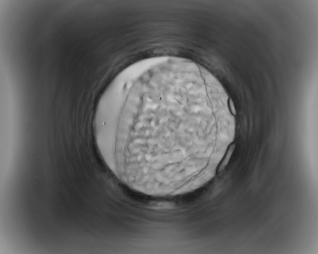 X0000084010649200703091928