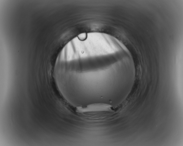 X0000084010650200703091928