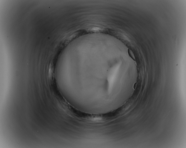 X0000084010651200703091928