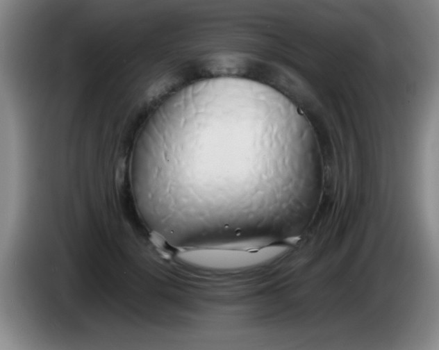 X0000084010652200703091928