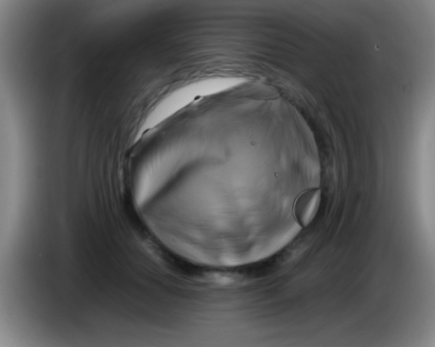 X0000084010654200703091928