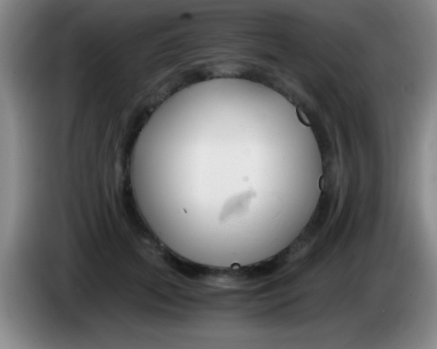 X0000084010655200703091928