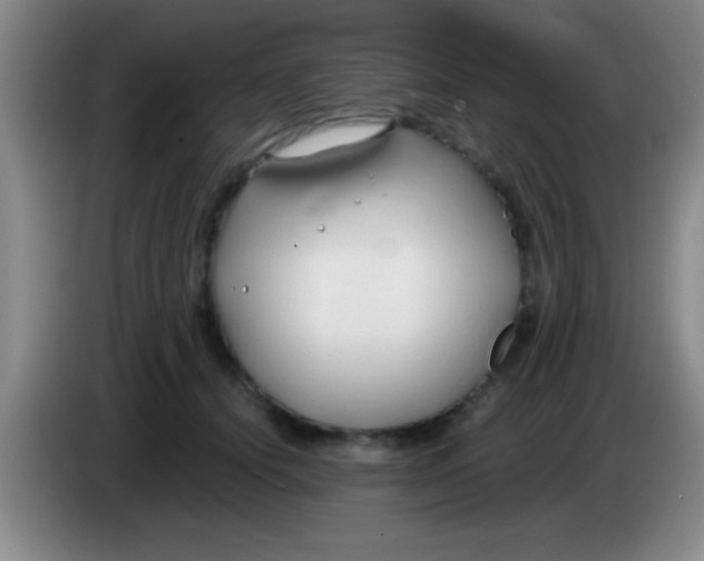 X0000084010656200703091928