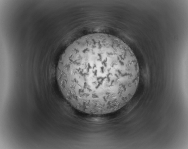 X0000084010657200703091928