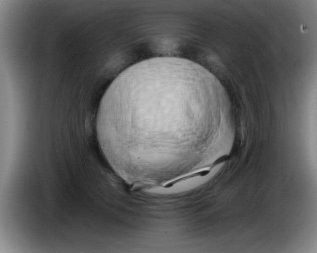 X0000084010658200703091928