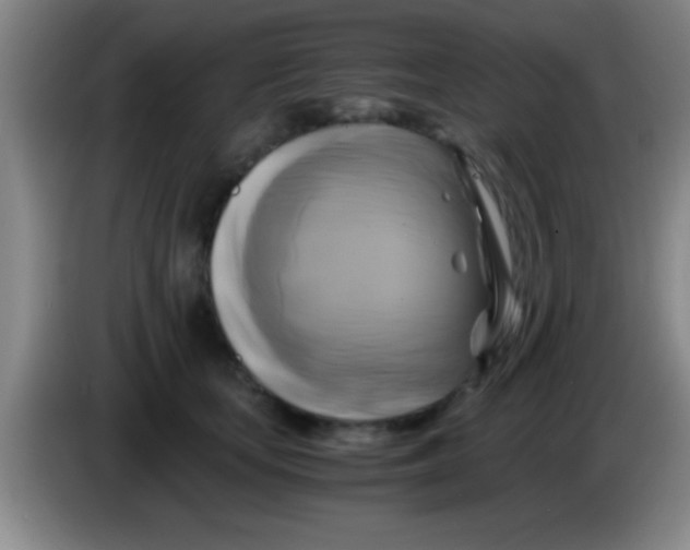 X0000084010659200703091928