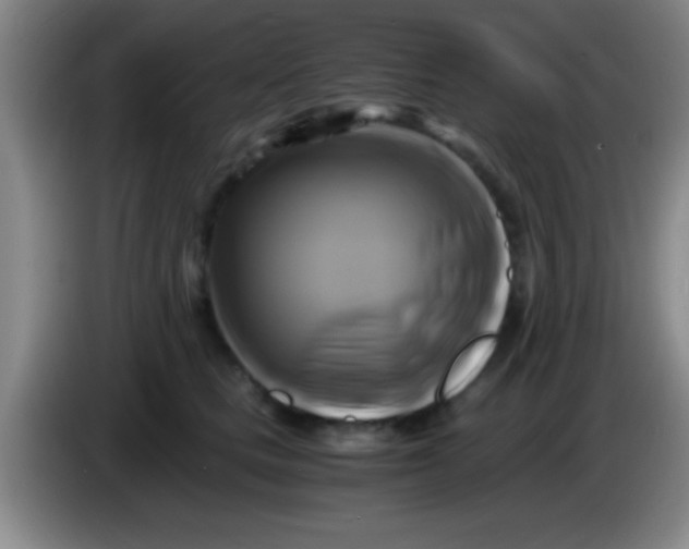 X0000084010661200703091928