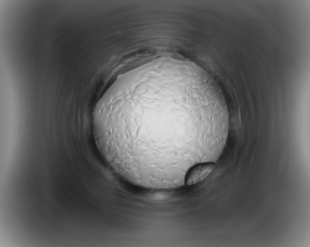 X0000084010662200703091928