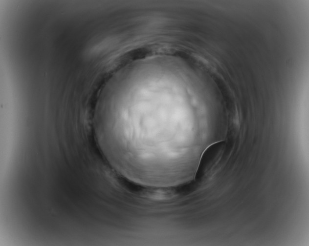 X0000084010663200703091928