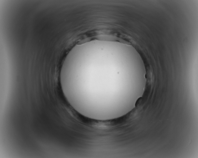 X0000084010664200703091928