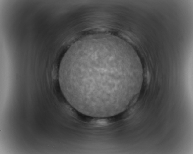 X0000084010665200703091928