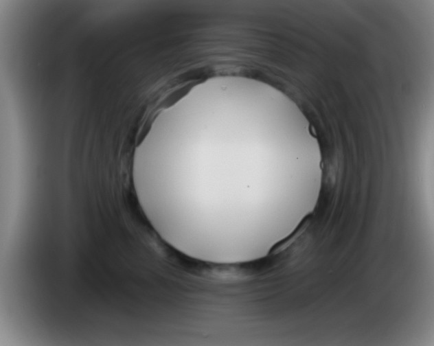 X0000084010666200703091928