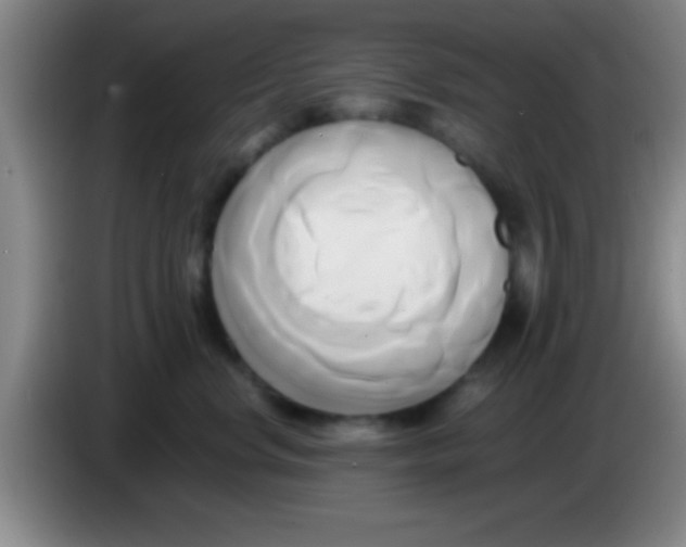 X0000084010668200703091928