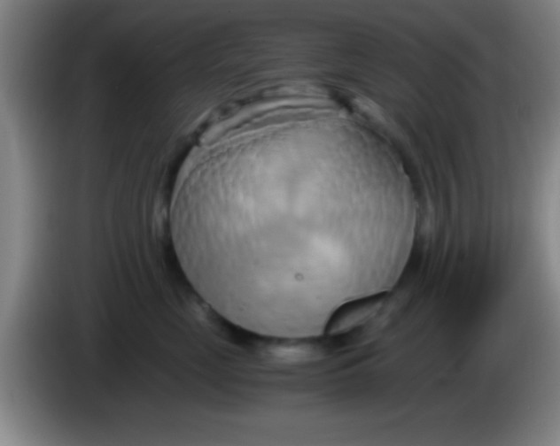 X0000084010669200703091928