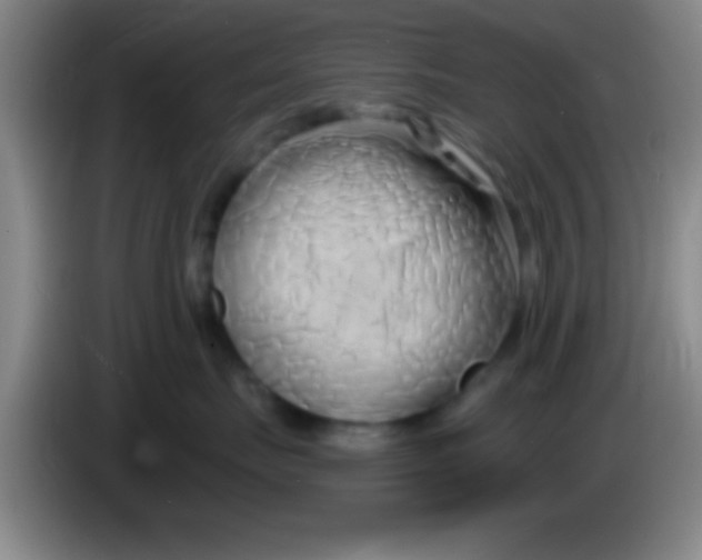 X0000084010671200703091928