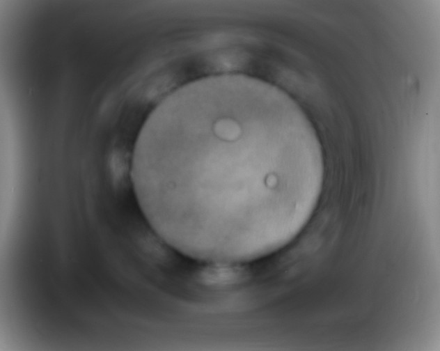 X0000084010672200703091928