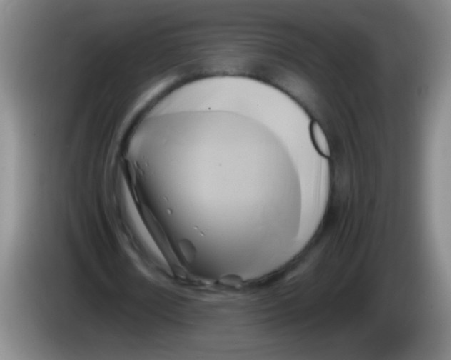 X0000084010674200703091927